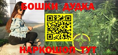 ГАЛЛЮЦИНОГЕННЫЕ ГРИБЫ Краснознаменск